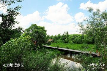 鹤岗清源湖旅游景区-湿地漫步区照片