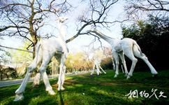 合肥环城公园—西郊旅游攻略之动物雕塑