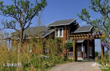 天津智利风情园-单体别墅照片