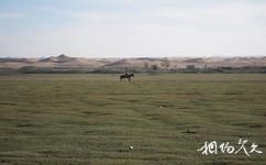 阿拉善盟通湖草原旅遊攻略之草原跑馬