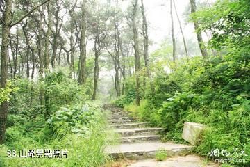 南京金牛湖景區-山路照片