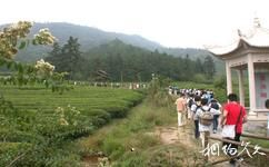 杭州绿景塘生态农业观光园旅游攻略之铁岭雄关