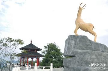 廣西大桂山國家森林公園-留羊頂照片