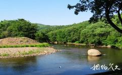 大亮子河國家森林公園旅遊攻略之神木鴛鴦湖