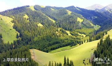 溫泉哈夏草原景區-草原照片