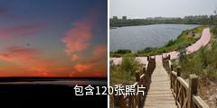 额济纳居延海景区驴友相册