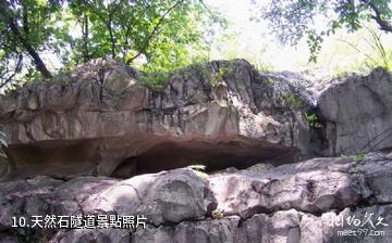 三峽鳴翠谷（紫陽龍洞）-天然石隧道照片
