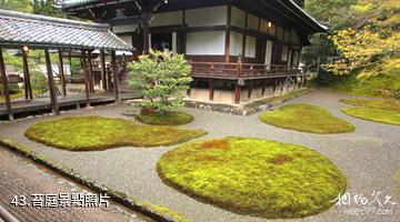 日本醍醐寺-苔庭照片