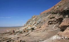加拿大喬金斯化石斷崖旅遊攻略