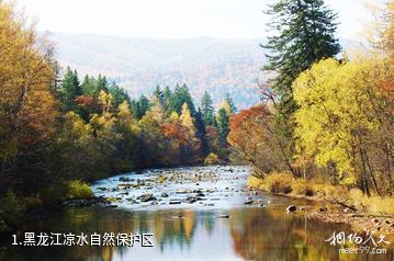黑龙江凉水自然保护区照片