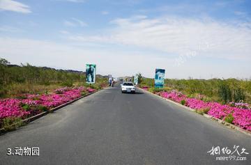 新疆天山野生动物园-动物园照片