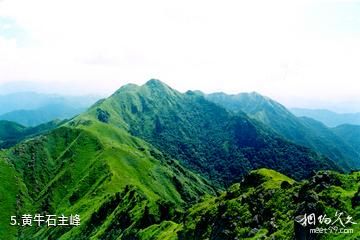 江西九连山国家森林公园-黄牛石主峰照片