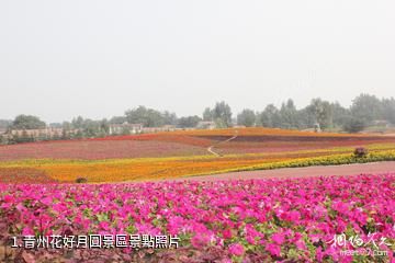 青州花好月圓景區照片
