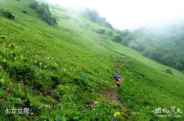 德阳九顶山风景区-立立爬照片