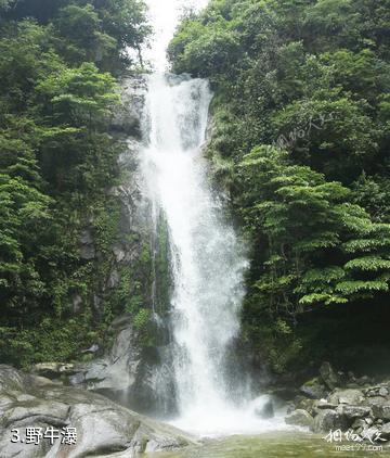 安福野牛瀑布大峡谷-野牛瀑照片