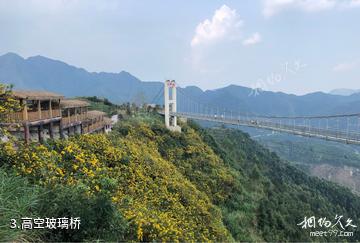 漳州高峰谷景区-高空玻璃桥照片