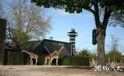 丹麥哥本哈根市旅遊攻略之哥本哈根動物園