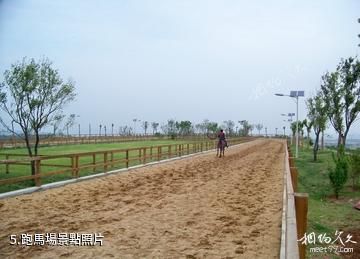 太原九龍山莊-跑馬場照片