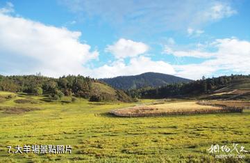 蘭坪羅古箐風景區-大羊場照片