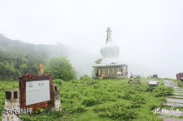 宝兴硗碛藏寨神木垒旅游景区-神仙坪照片
