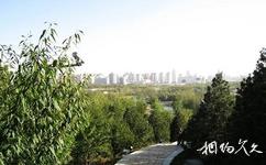 北京奥林匹克森林公园旅游攻略之“朝花台”和“夕拾台”