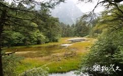 海螺溝冰川森林公園旅遊攻略之水海子