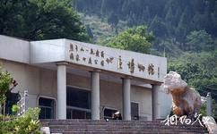 熊耳山國家地質公園旅遊攻略之熊耳山國家地質公園博物館