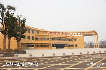 安徽中国稻米博物馆照片