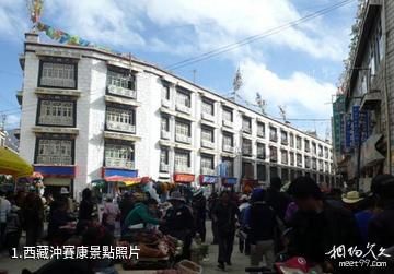 西藏沖賽康照片