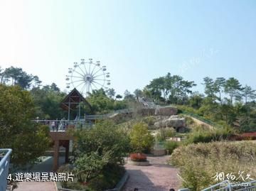 寧波雅戈爾動物園-遊樂場照片