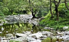 湖南借母溪国家级自然保护区旅游攻略之借母溪