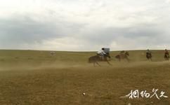 兴安蒙古包旅游村旅游攻略之马术表演