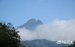 五指山熱帶雨林旅游攻略之五指山