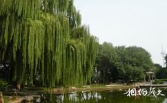 北京玲珑公园旅游攻略之杨柳岸晓风残月