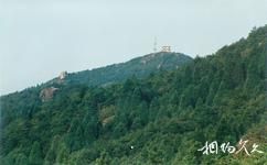 苍南玉苍山国家森林公园旅游攻略之瞭望台