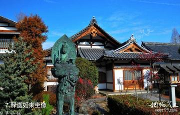 日本天龙寺-释迦如來坐像照片