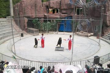 浙江金華動物園-表演區照片