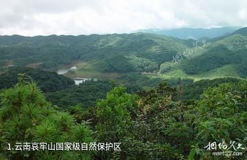 云南哀牢山国家级自然保护区照片