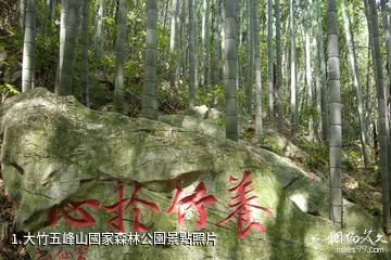 大竹五峰山國家森林公園照片