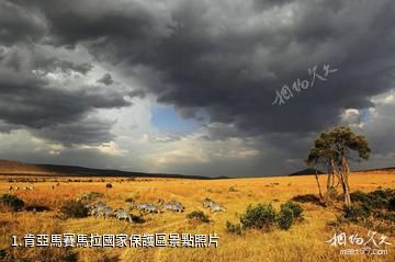 肯亞馬賽馬拉國家保護區照片