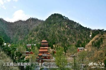 遵化禪林寺古銀杏風景園-五峰山照片