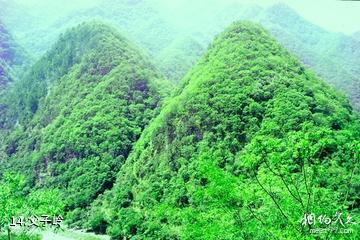 陕西黑河国家森林公园-父子岭照片