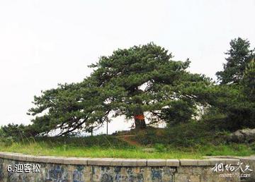 山西沁水历山国家级自然保护区-迎客松照片