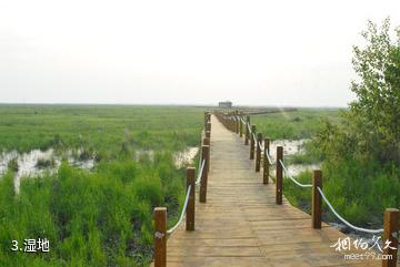 黑龙江洪河国家级自然保护区-湿地照片