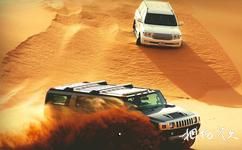 迪拜沙漠保护区旅游攻略之冲沙