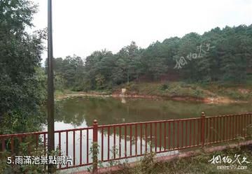 西昌茅坡櫻紅景區-雨滿池照片