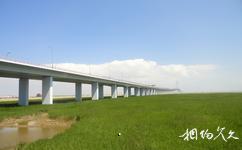 杭州灣跨海大橋旅遊攻略之大橋北岸