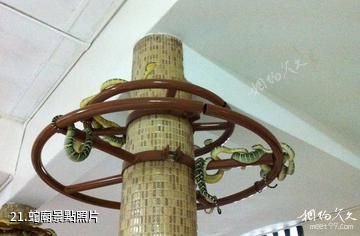 馬來西亞檳城州-蛇廟照片