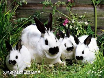 鄭州金鷺鴕鳥遊樂園-親親動物樂園照片