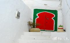 突尼西亞藍白小鎮旅遊攻略之西瓜門